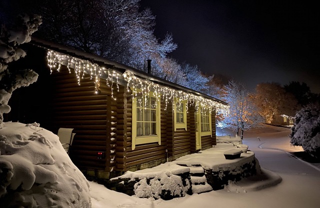Montana - 5 Star - Pet Friendly - Hot Tub - Scandinavian Log Cabin