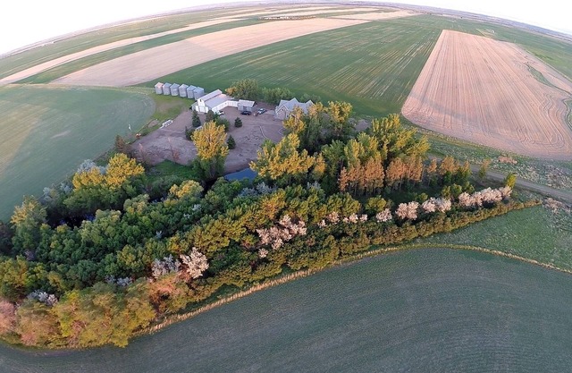 La cabine la plus confortable du Montana