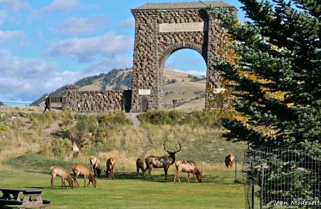Montana studio getaway. 5 minutes to the Yellowstone river