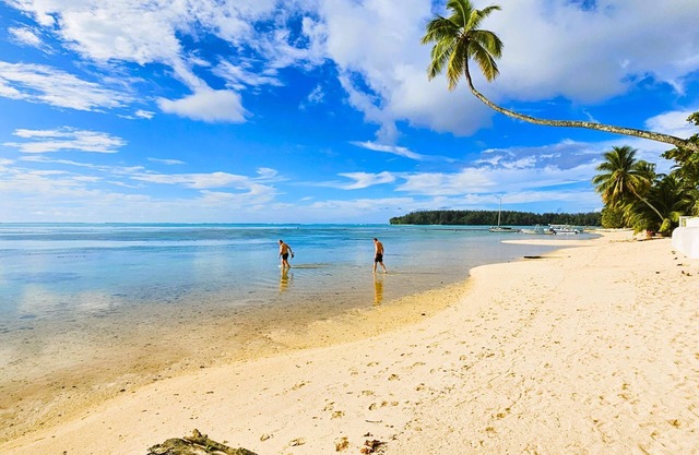 MOOREA - Tropical Moana Cottage