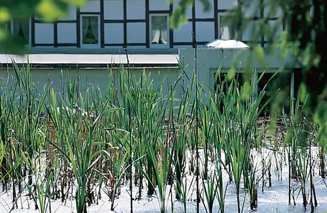 Moorland Hotel Am Senkelteich