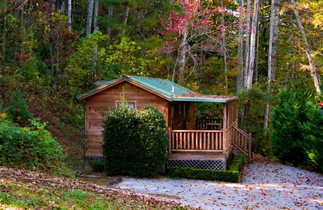 Big Bear Cabin Rentals 2 BD / 1 BA Moose Cabin - Près de la ville, calme, Vue boisée