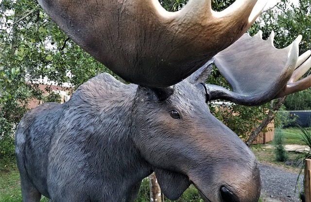 La Lazy Moose Cabin à seulement 5 minutes du centre-ville de Dade City
