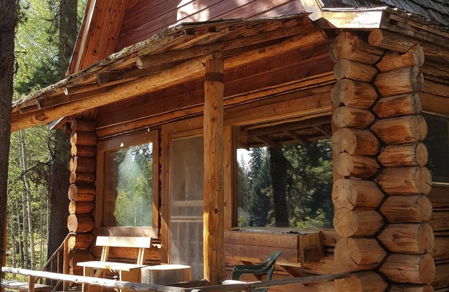 Cabane rustique "Moose Paddle" cachée dans les pins.