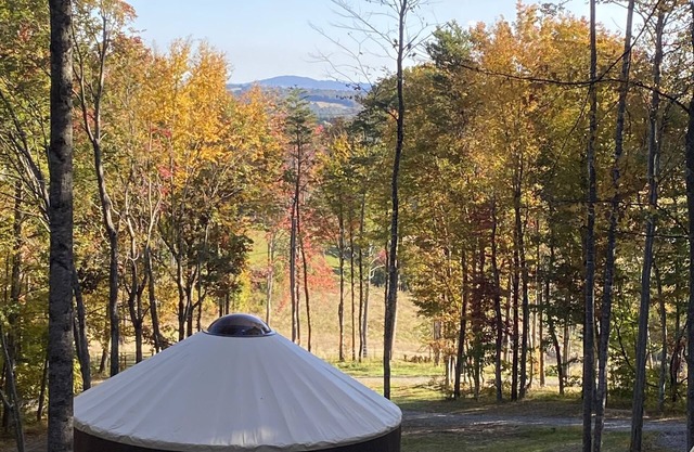 Mother Earth, stargazing from the hot tub, mountain views