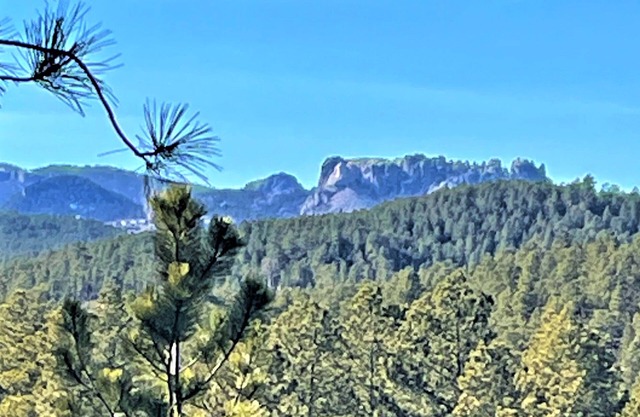 Mount Rushmore, Black Hills.