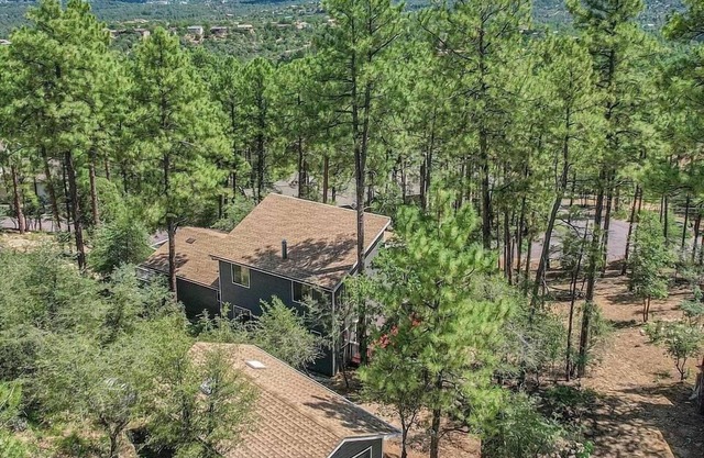 Mountain Cabin Retreat in the Pines