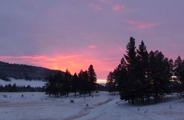 Mountain Elk CHASSE / RETRAITE Outdoor Recreation Ranch - Helena, Avon -