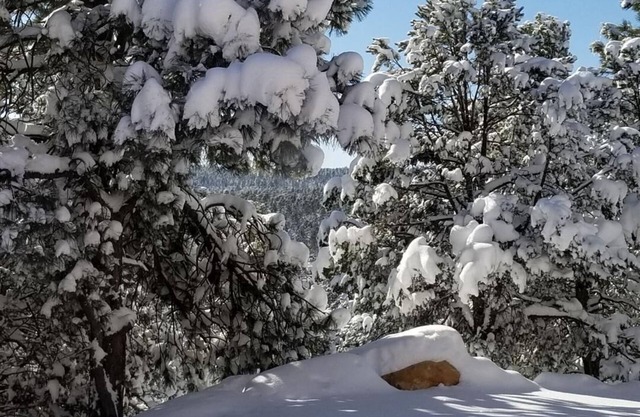 Escapade en montagne pour la détente, 20 min à l'ABQ, 40 min aux pistes
