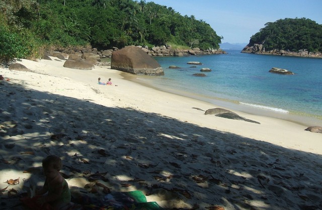 Montagne / Forêt / Plage -