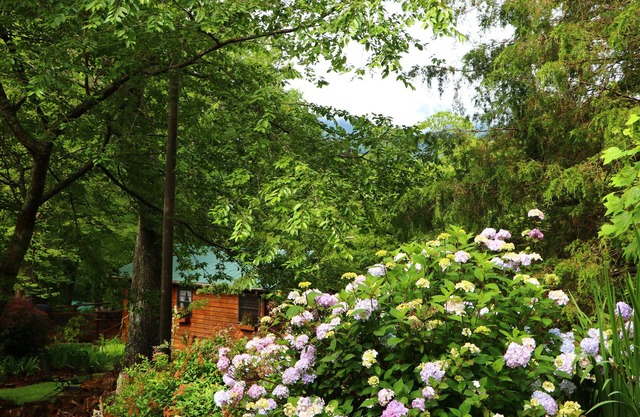 Escapade à la montagne pour les couples! 27 kilomètres de Asheville, Animaux acceptés, bain à remous