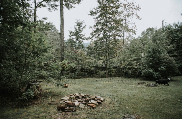 Mountain getaway in Black Mtn/Close to Asheville - PET FRIENDLY