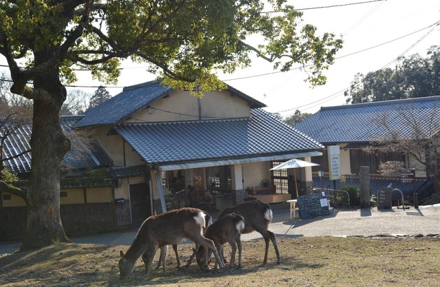 Mountain Home Lodge in Deer Park
