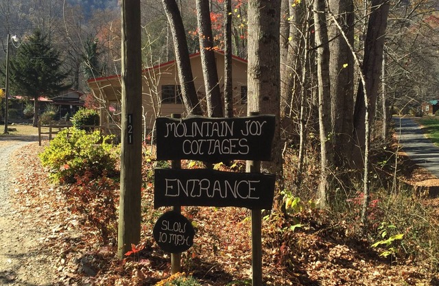 COTTAGE MOUNTAIN JOY # 8 - PETIT OURS