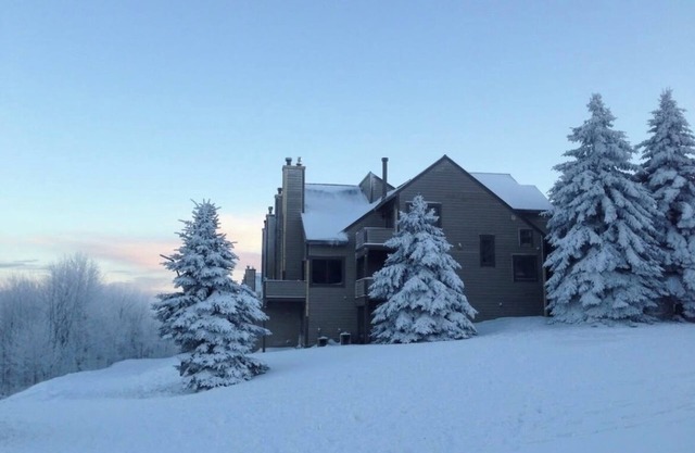 Mountain View Escape - 1BR Ski-in/out Rustic Condo