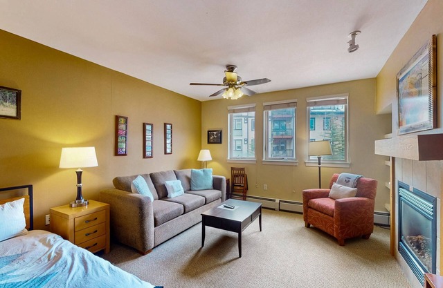 Mountain View Studio w/ Gas Fireplace, and High-Speed WiFi