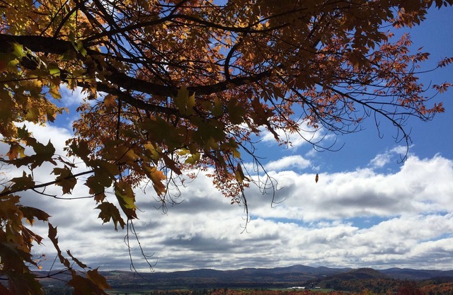 Mountain views - peaceful small ranch on 5 acres