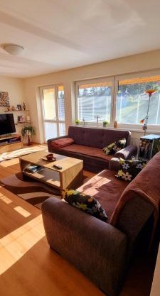 Mountain Village Apartment Pinewood *
