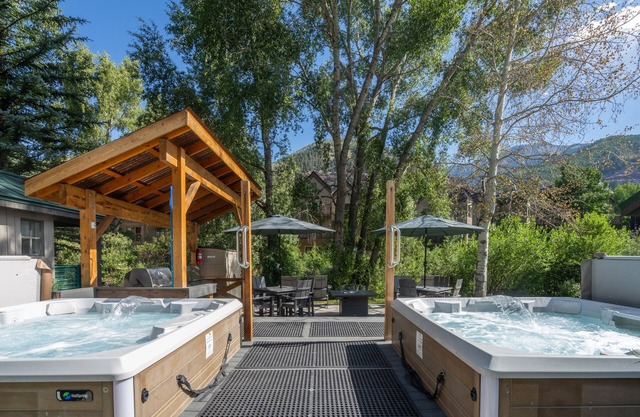 Mountainside Inn 313 1 Bedroom Condo by Alpine Lodging Telluride