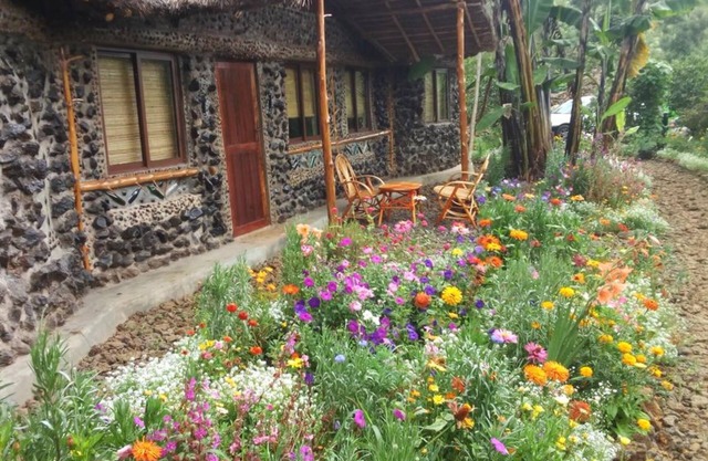 Mt. Kenya Riverside Retreat