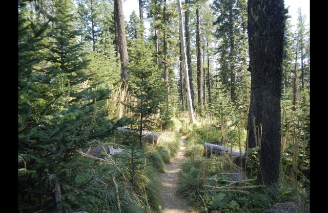 MT. SPOKANE GETAWAY~UPDATED STUDIO CONDO W POOL, HOT TUB, AC & WIFI~HIKE, BIKE