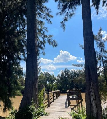 Muelle Delta Arias - EN TIGRE ISLA -