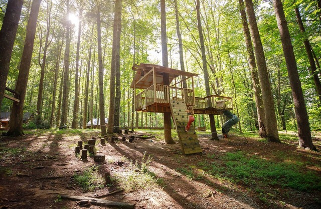 Multiple cabins at Cabin Fever!