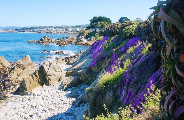Vue sur l'océan chez Lovers Point Mermaid Cottage