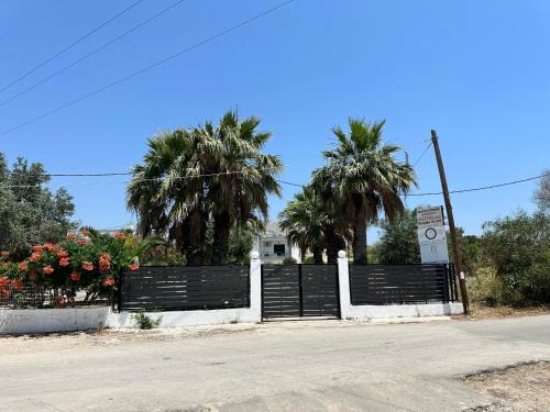 My Agathi Studios