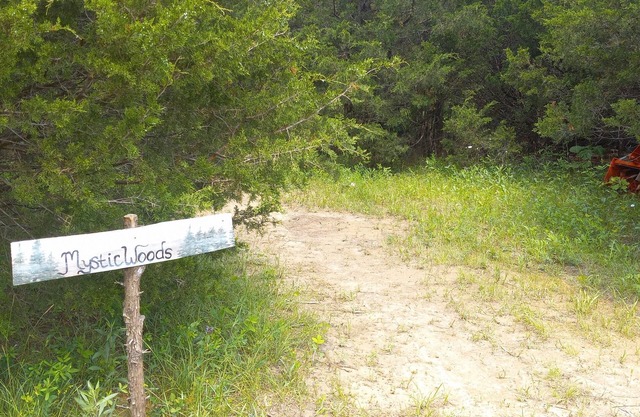 Mystic Woods @B Berry Farms
