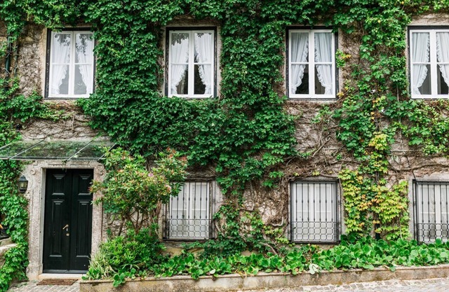 Villa mystique et charmante à Sintra