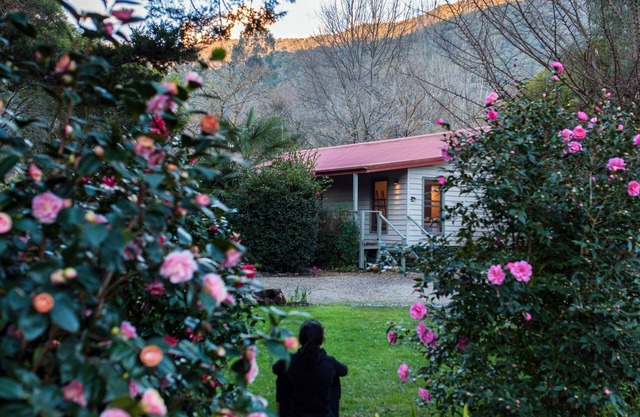 Cottage vue mystique