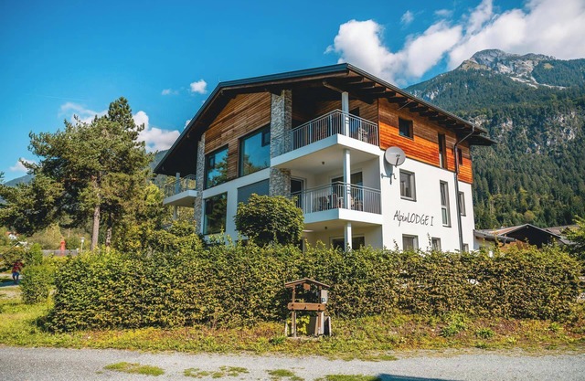 2 bedroom apartment with sofa bed