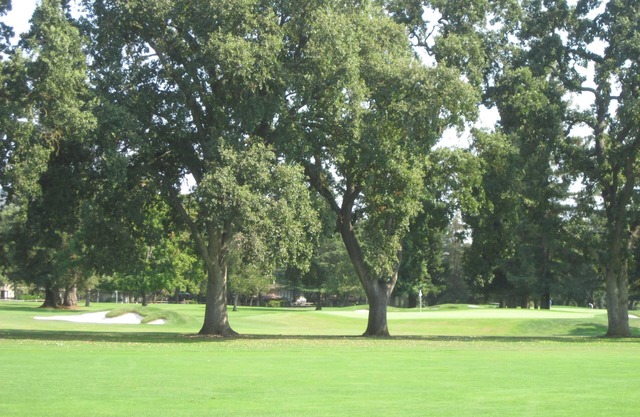 Napa Charm sur Silverado Course; Spa, collines, caves à proximité (séjour plus court ok)