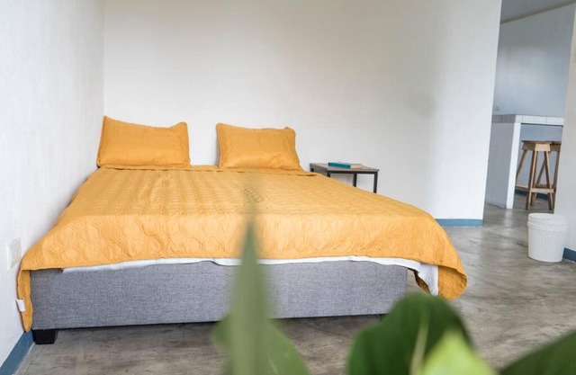 NAPPO Room 2 Alajuela, Heredia,SJO,5min from airport NO PARKING