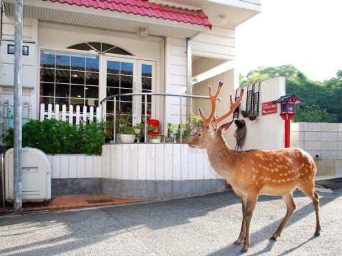 Nara - Hotel/Vacation STAY 47950