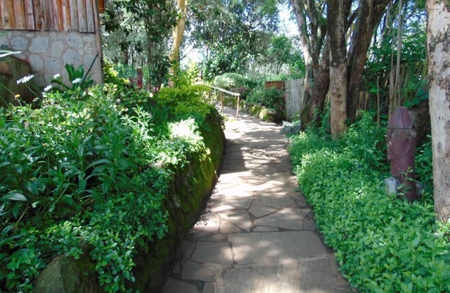 Naro Moru River Lodge