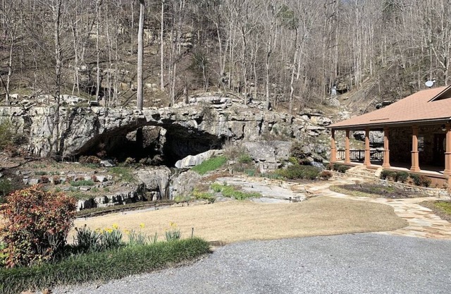 Natural Beauty at the Natural Bridge
