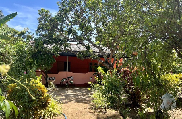 Natural Garden View
