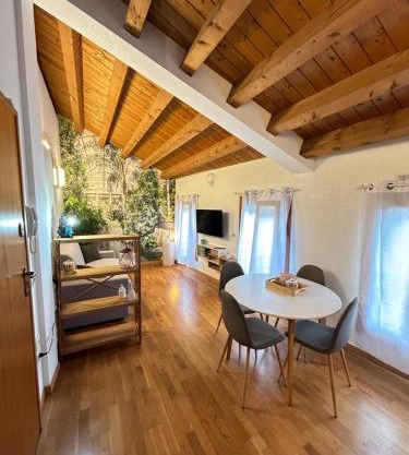 Natural Loft 14 -jvapartmentrovigo