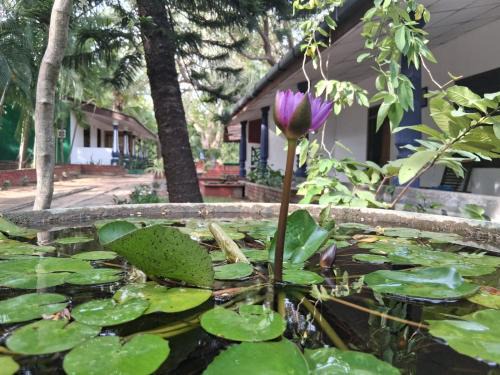 Nature Lodge