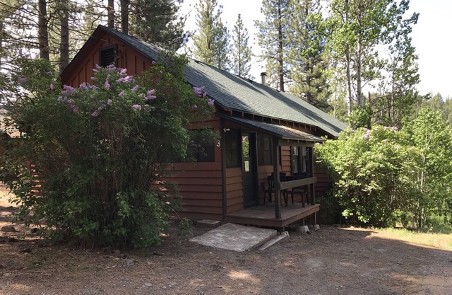 Amazing River Views! ~ Cabine sur 40 acres le long de la rivière Scenic Feather