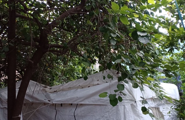 Camps de sentier nature et chez l'habitant