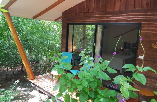 Lodge Naturiste pour 6 personnes . Composé de 3 bungalows avec piscine.