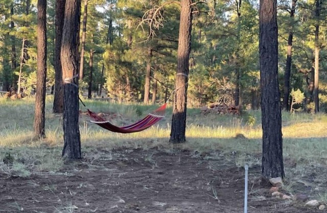 Cozy Cabin on 1.25 acres