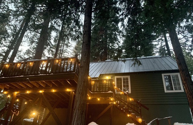 Spacious cabin w/forest views *wifi, AC /heat & arcade loft!*