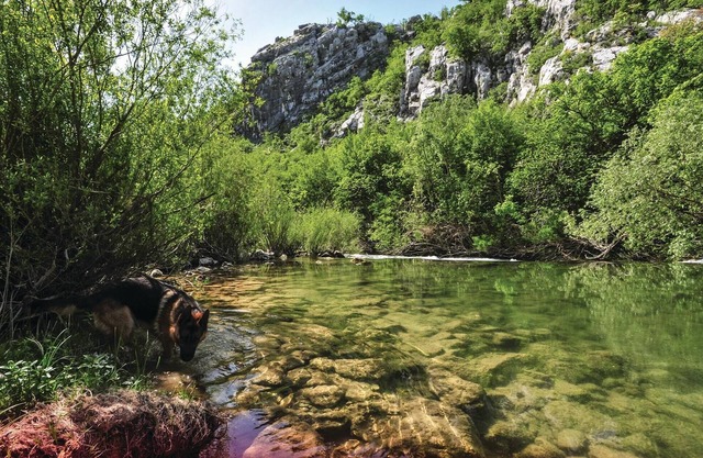Near the river Cetina awaits you this practical cottage with vegetable garden.