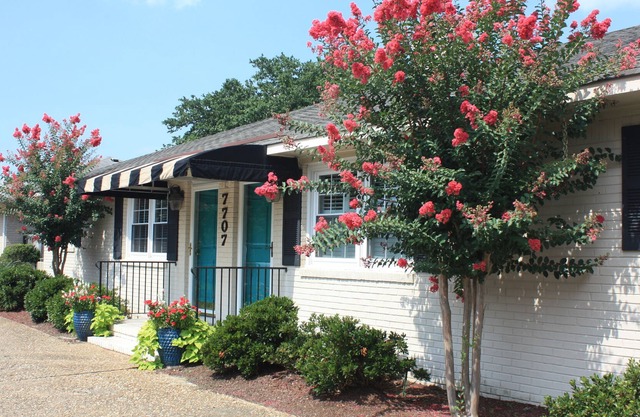 Dog Friendly North End Beach Cottage Duplex - Nouveau sur le marché de la location!