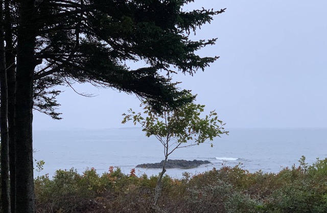 Nest del Mar-Gorgeous Classic Maine Camp on the Ocean