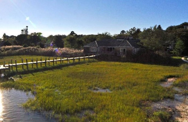 NIDÉ LE LONG DES BANQUES DE LA BAIE ASSATEAGUE DONNANT SUR LES MARAIS SALÉS!